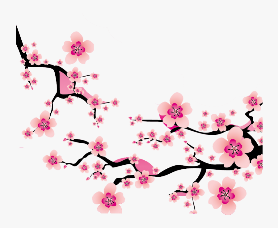 Sakura Blossom Clipart Plum Flower - Transparent Sakura Png, Transparent Clipart