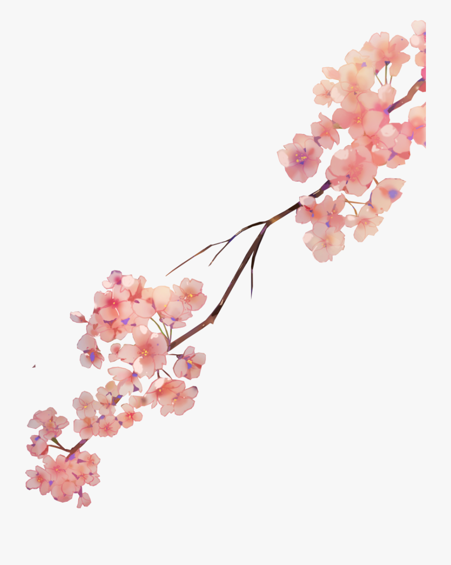 #sakura #flower #watercolor #petals #nature - Transparent Sakura Flower Watercolor, Transparent Clipart