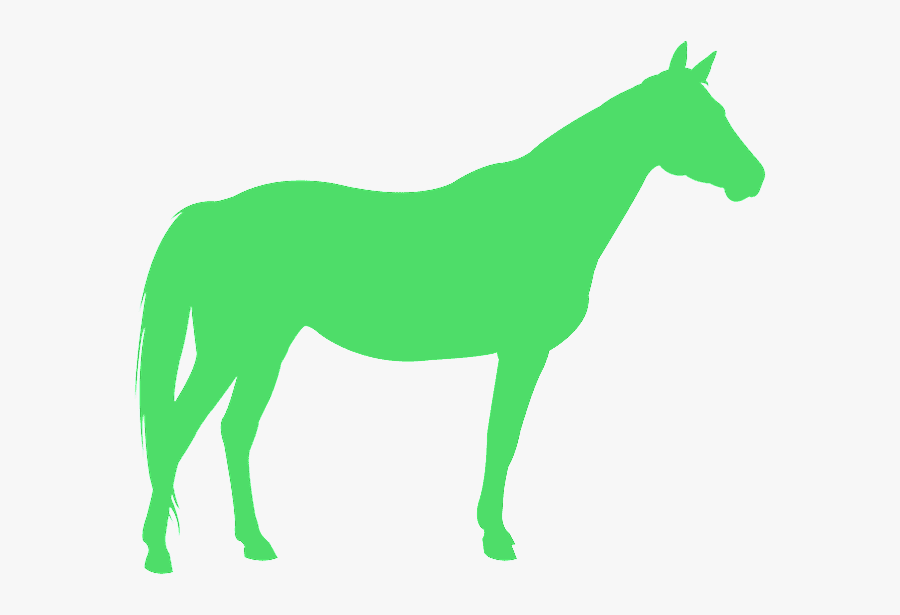Beste Paard Van Stal, Transparent Clipart