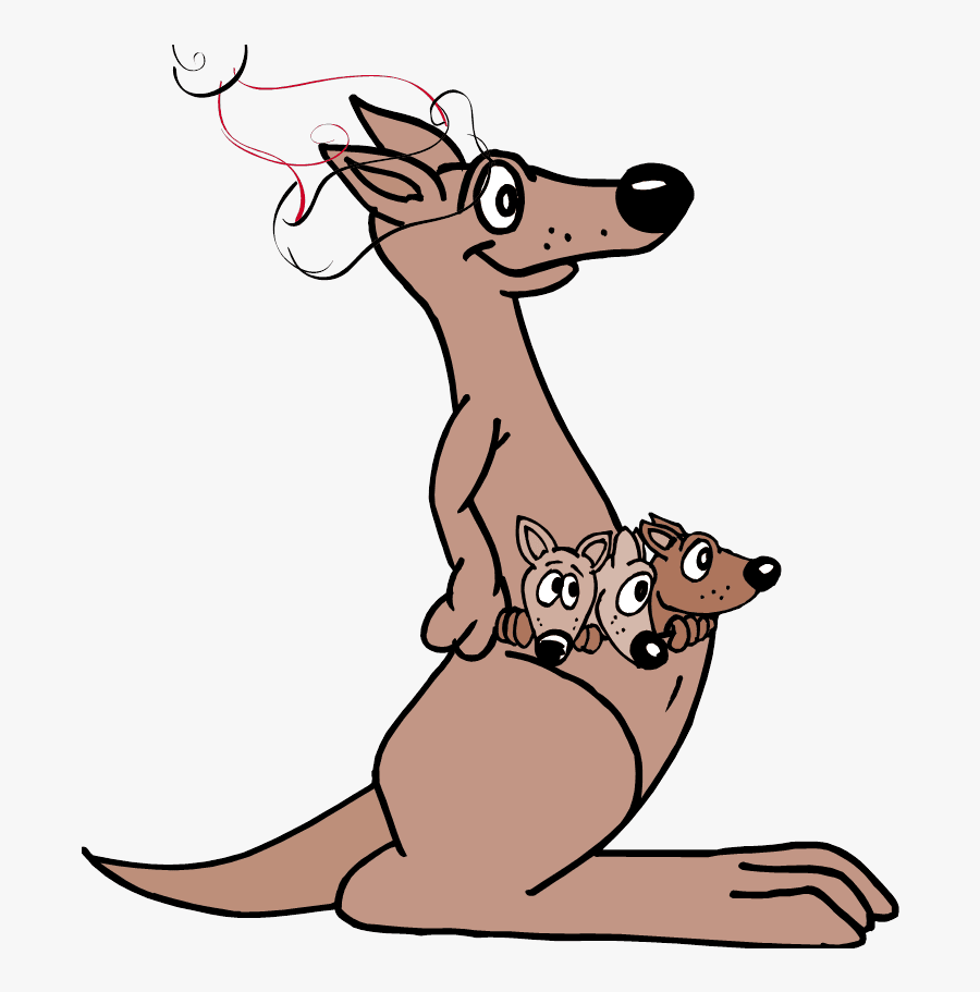 Colouring Pages Of Kangaroo Baby, Transparent Clipart