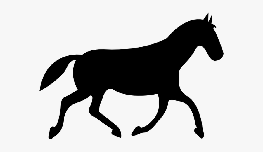 Black And White Racing Horse Clipart, Transparent Clipart