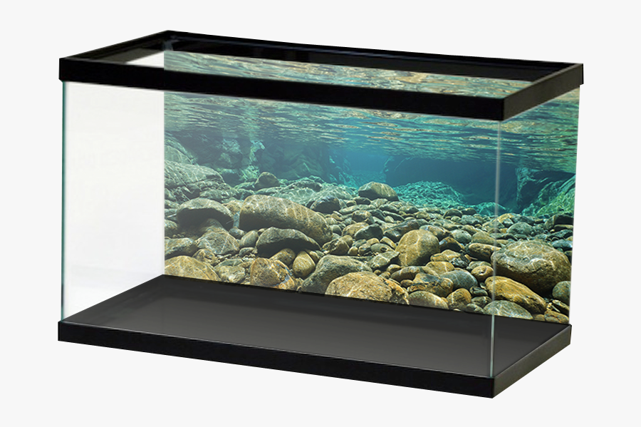 Transparent Underwater Png - Underwater View Of A River, Transparent Clipart