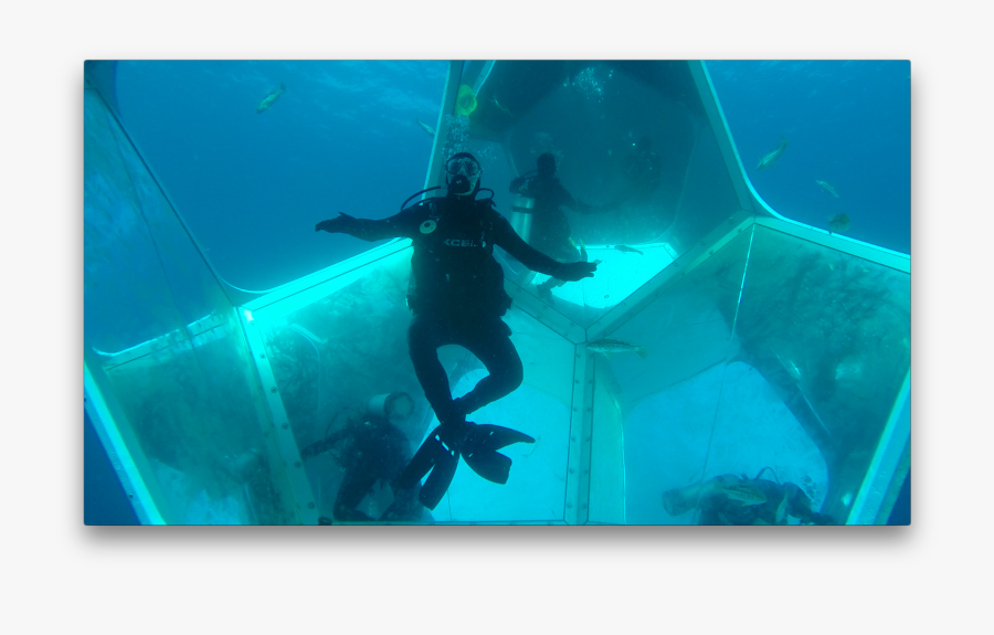 Clip Art Drawing Underwater - Catalina Diving, Transparent Clipart