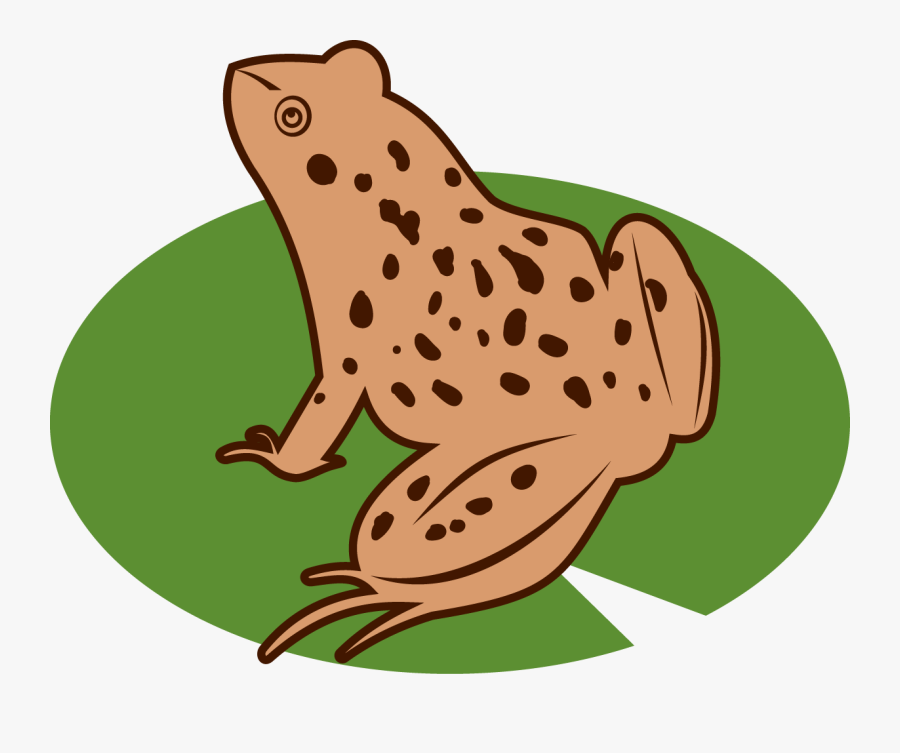 Transparent Frog Pond Clipart - True Frog, Transparent Clipart