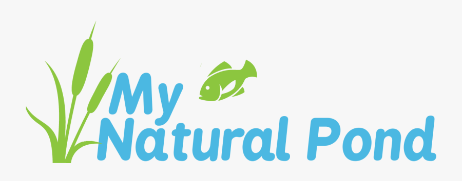 My Natural Pond, Transparent Clipart