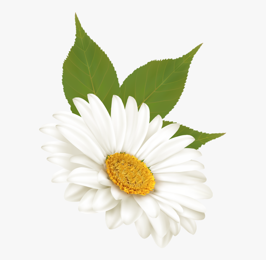 Png Pinterest Clip - Flores Animadas, Transparent Clipart