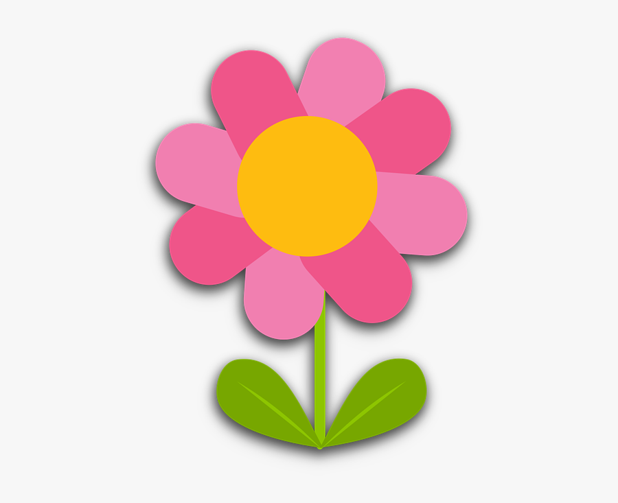 Free Photo Daisy Flower Blooming Bloom Garden Plant - Flower, Transparent Clipart