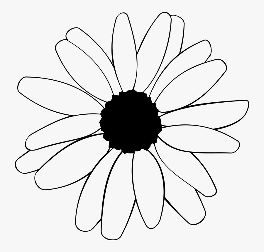 Clip Art Daisies Outline - Black Eyed Susan Outline, Transparent Clipart