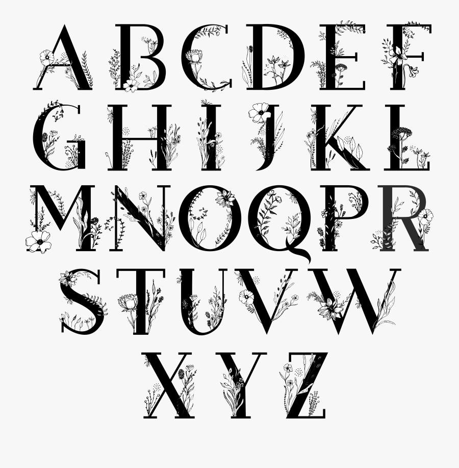 Graphic Design, Transparent Clipart