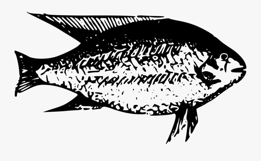 Art,monochrome Photography,seafood - Clip Art Animal On The Lake Black, Transparent Clipart