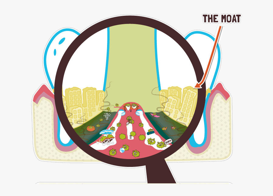 Close Up Of Plaque Moat - Plaque Close Up, Transparent Clipart