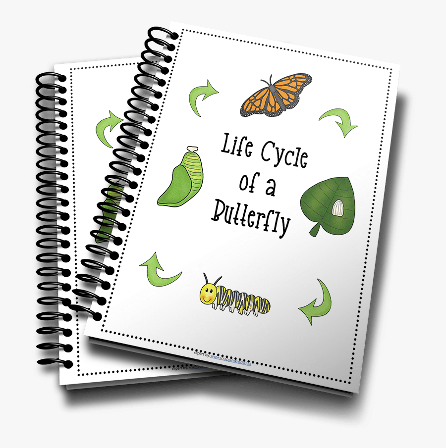 Transparent Butterfly Life Cycle Clipart - Tax Training Course, Transparent Clipart