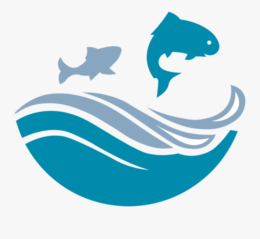 Shark, Transparent Clipart