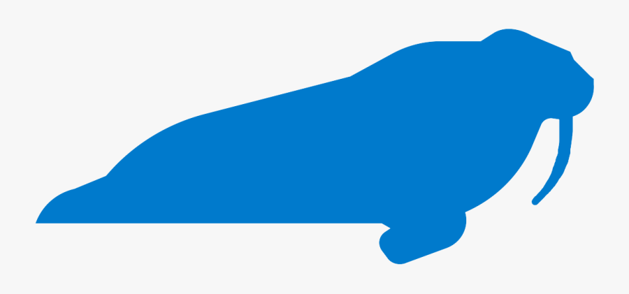 Whale, Transparent Clipart