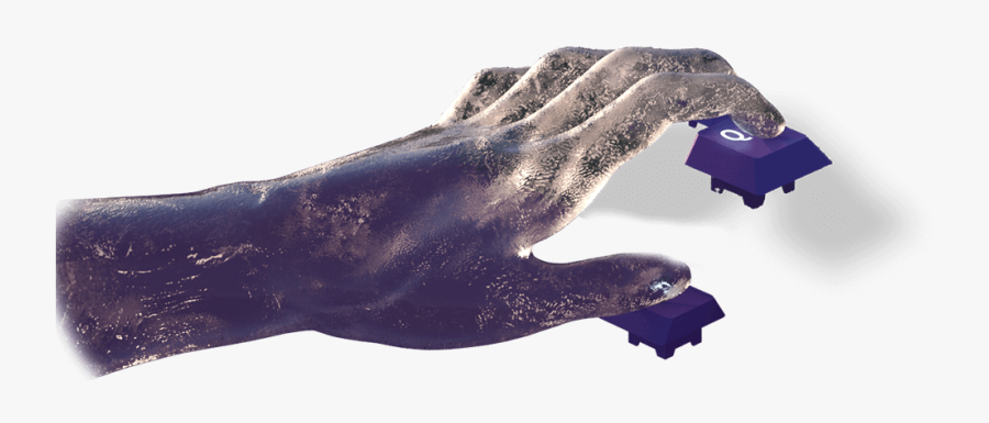 Transparent Oh The Places You"ll Go Balloon Png - Sea Lion, Transparent Clipart