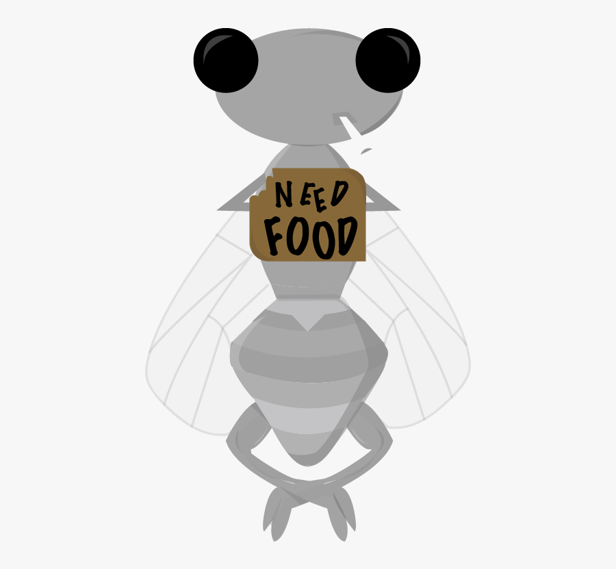 Ever Wonder What Happens To Gnats When The House Is - Illustration, Transparent Clipart