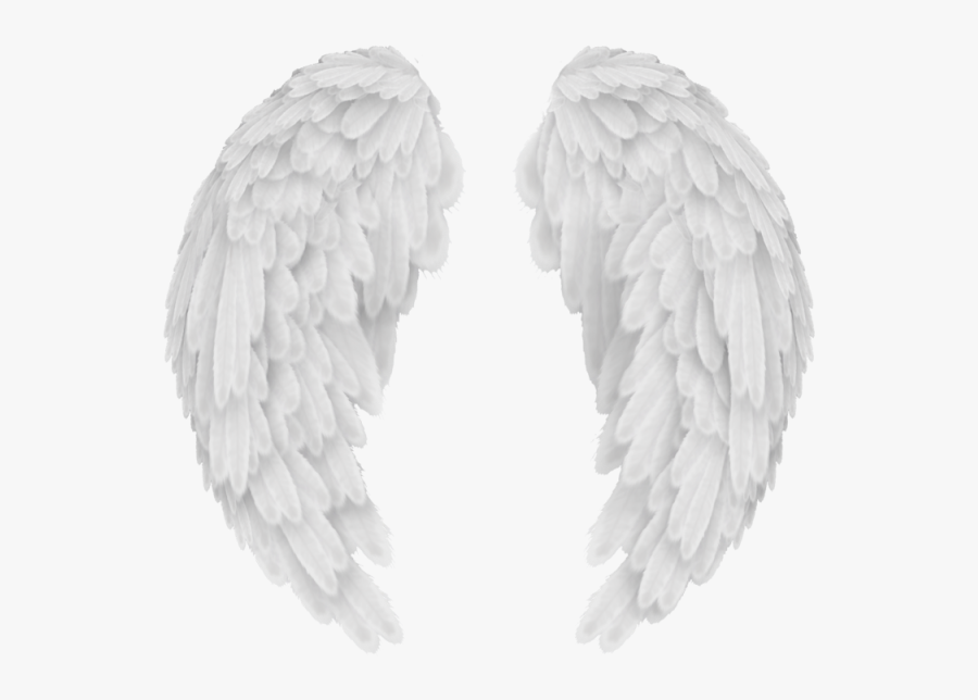 White Angel Wings Png Transparent Image - White Angel Wings Background, Transparent Clipart