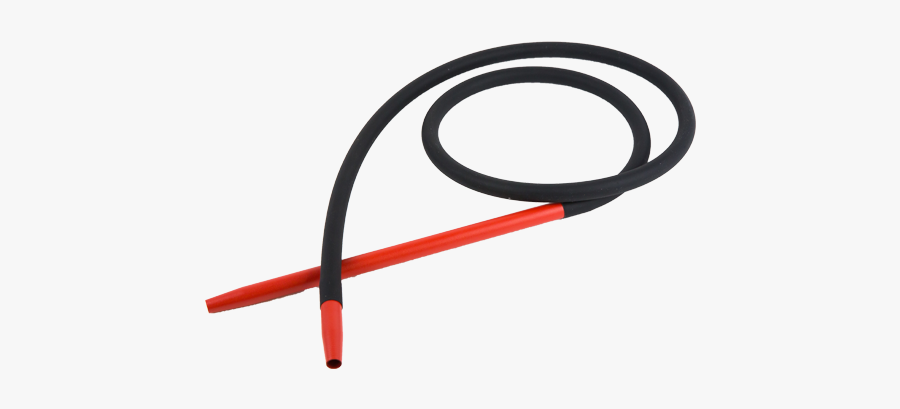 Circle, Transparent Clipart