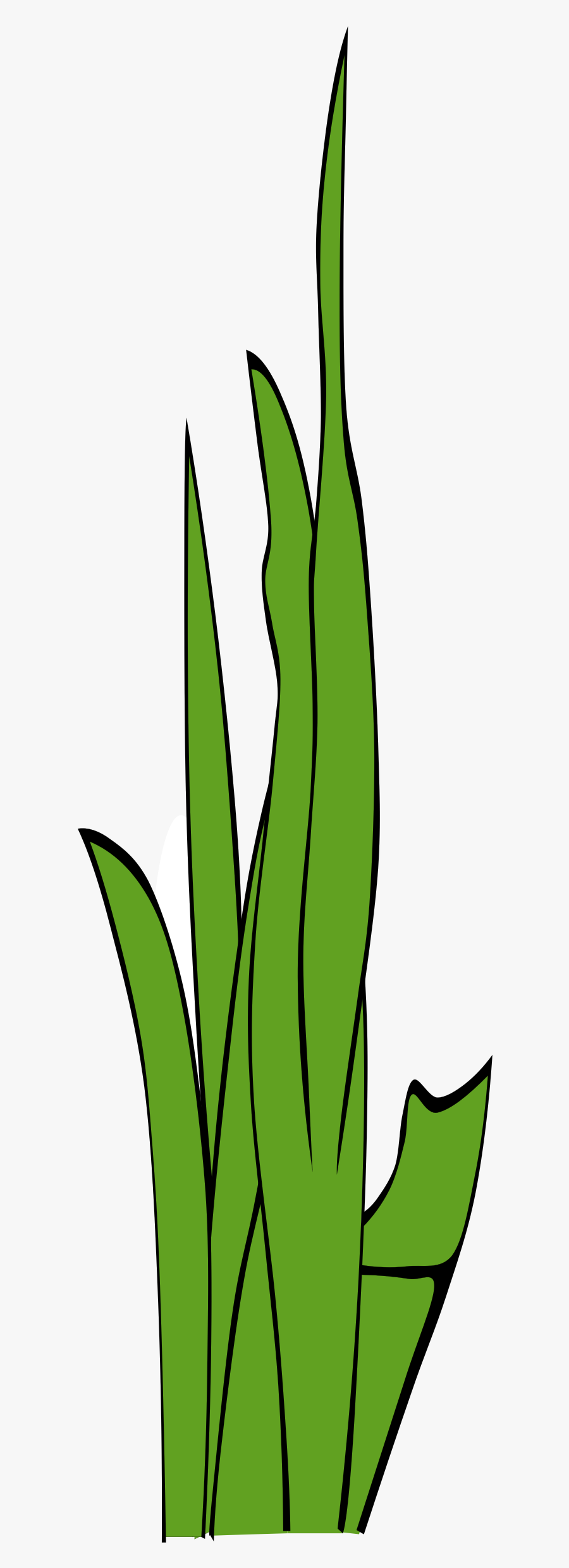 Swamp Clipart Grass Field - Duke Of Zhou Interprets Dreams, Transparent Clipart