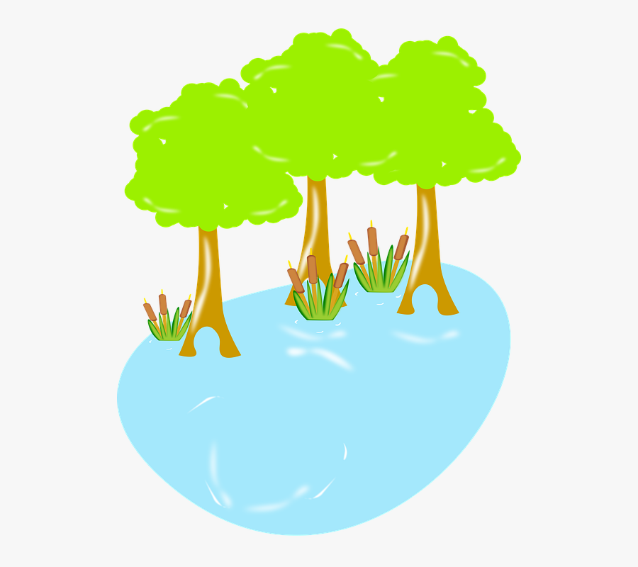 Swamp, Biology, Wildlife, Nature, Wetland, Water, Wild - Illustration, Transparent Clipart