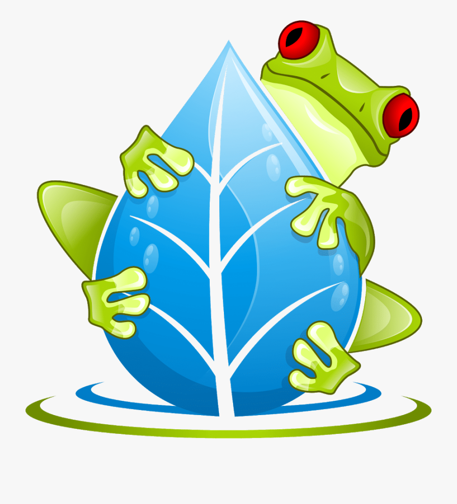 Frog, Transparent Clipart