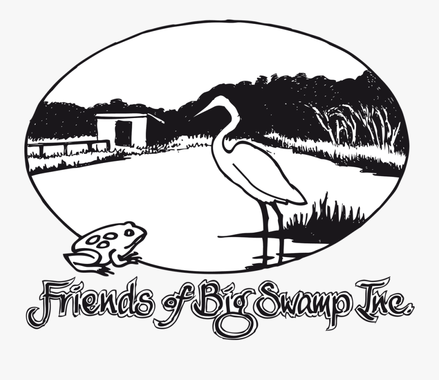 Picture - White Stork, Transparent Clipart