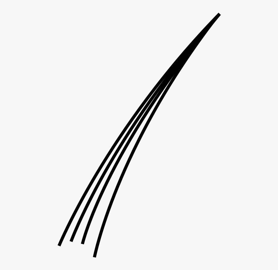 Scaphopod - Tusk Shell, Transparent Clipart