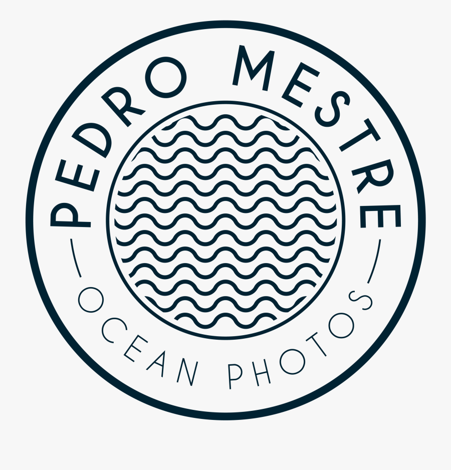 Pedro Mestre Portfolio - Bliss Events By Bonnie Chase, Transparent Clipart