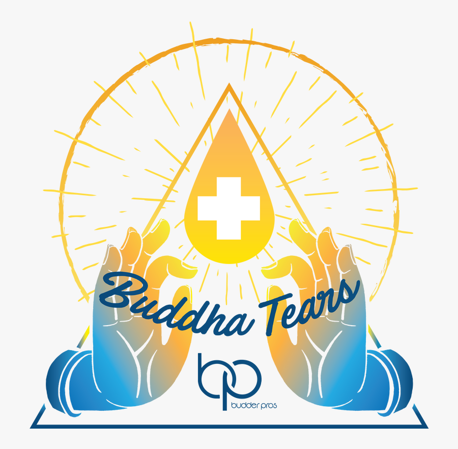 Picture - Fête De La Musique, Transparent Clipart