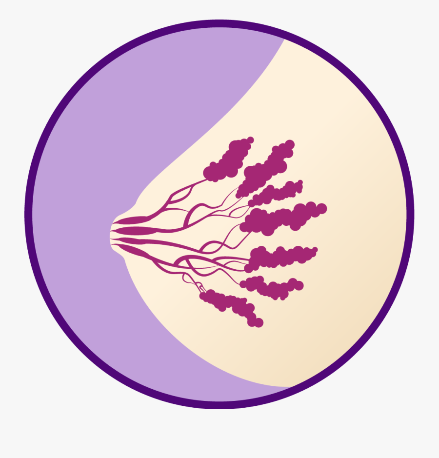 Salt Clipart Iodine - Breast Tenderness Clipart, Transparent Clipart