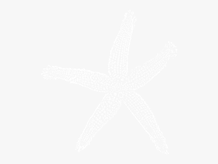 Johns Hopkins Logo White, Transparent Clipart