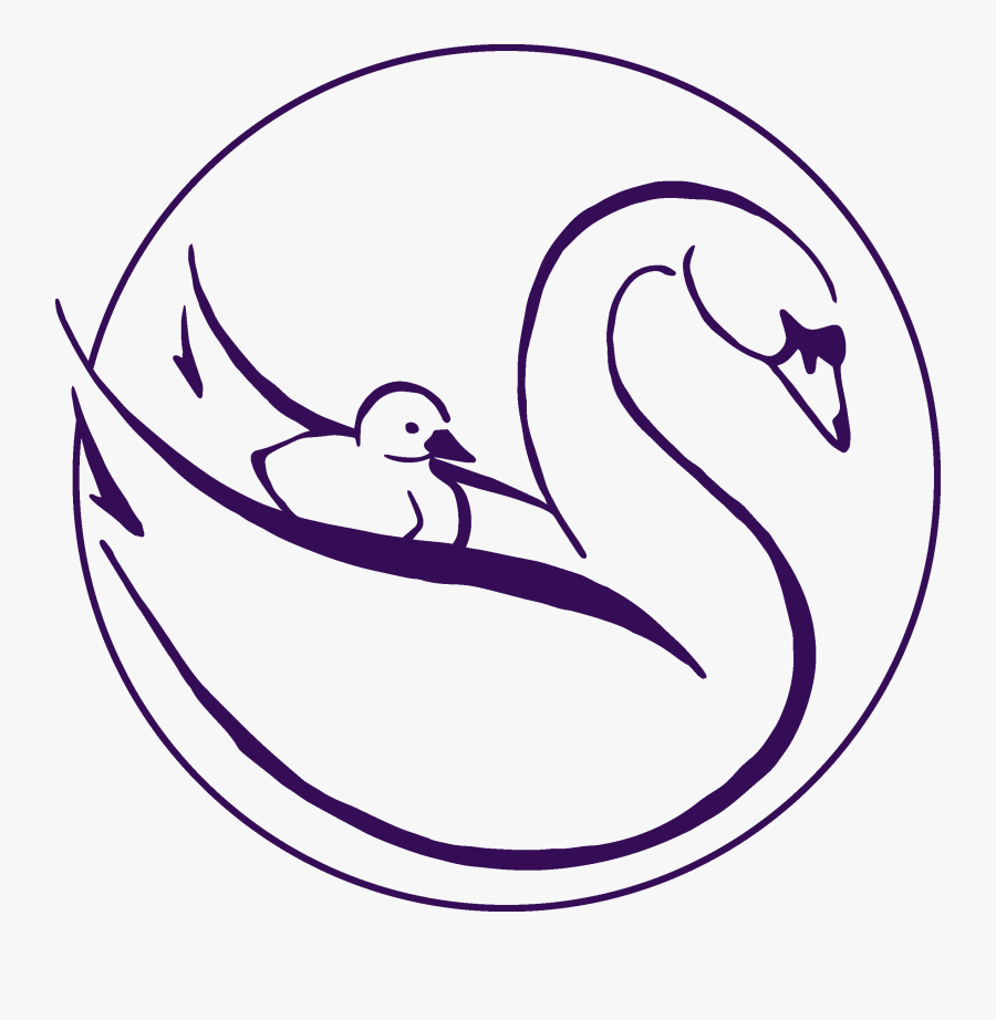 Duck, Transparent Clipart