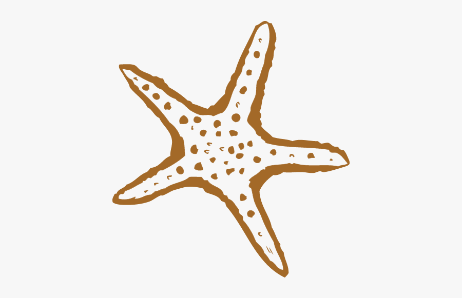 Starfish, Transparent Clipart