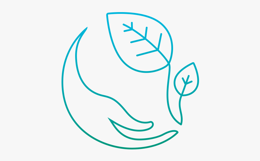 Drawing, Transparent Clipart