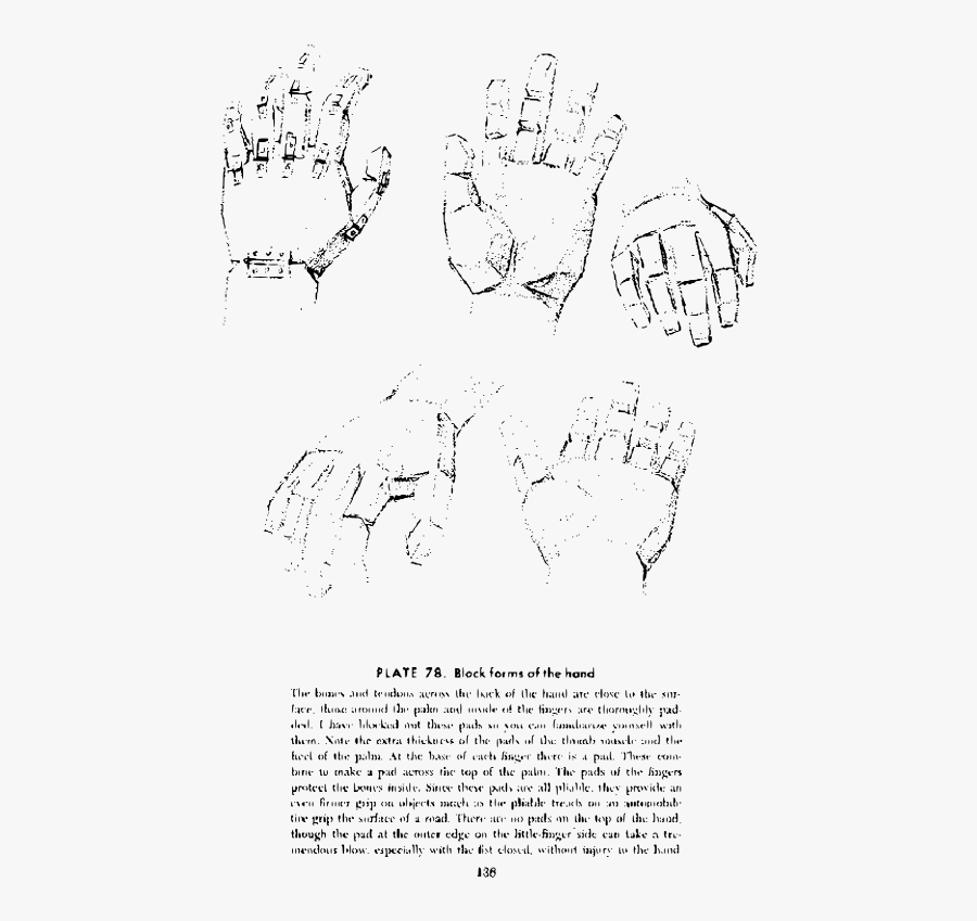 Andrew Loomis Drawing The Head And Hands 123 - Drawing, Transparent Clipart