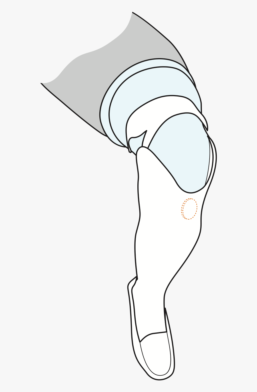 Engineering At Home Cosmetic - Illustration, Transparent Clipart