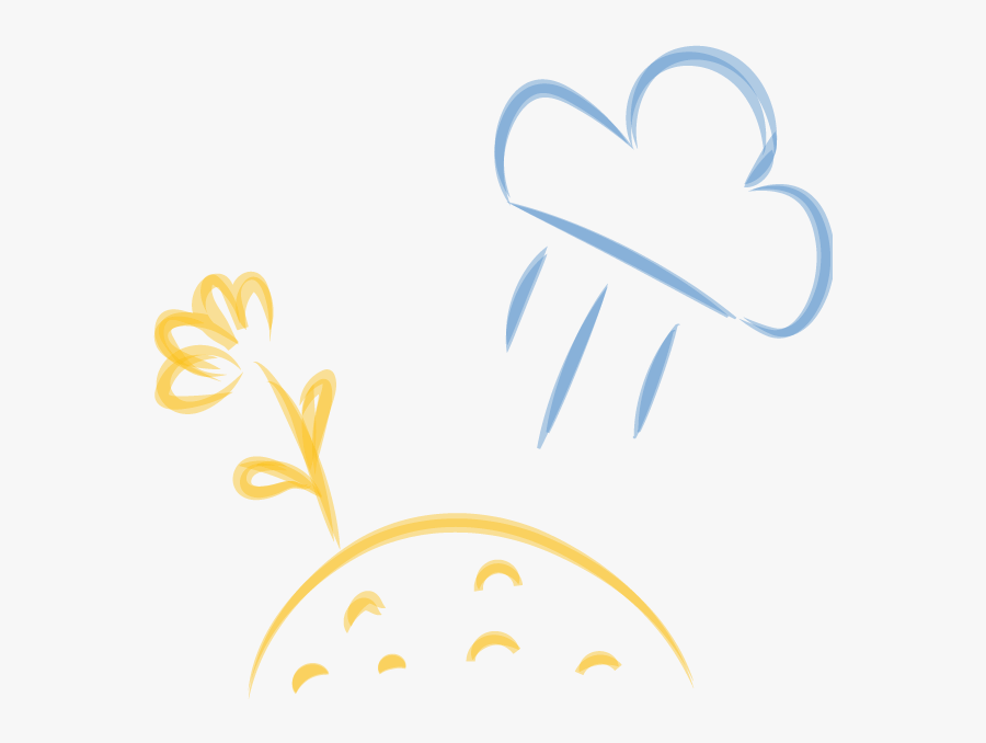 Somerset Sponge, Transparent Clipart