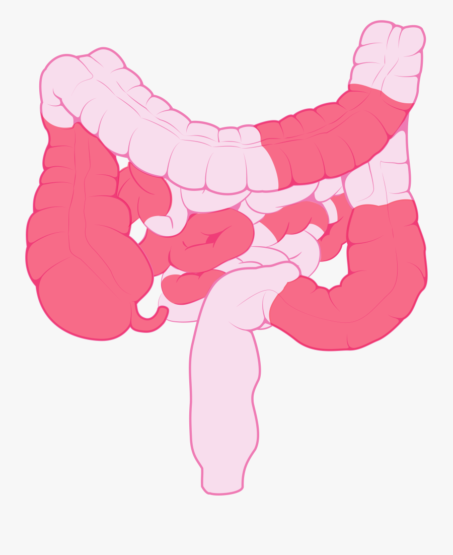 Clip Art, Transparent Clipart