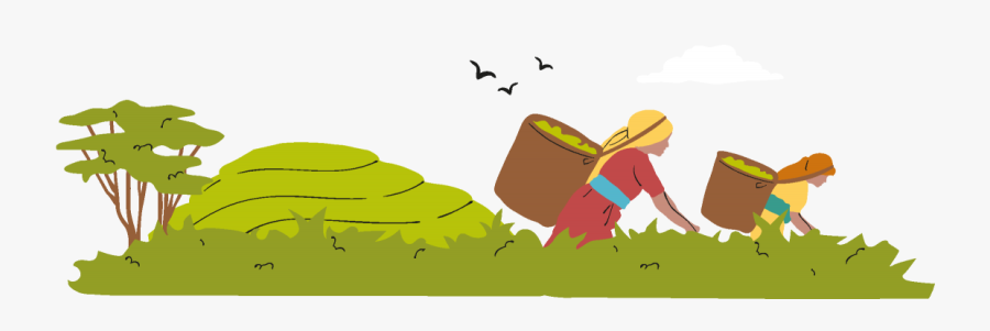 Fairtrade Illustration - Illustration, Transparent Clipart