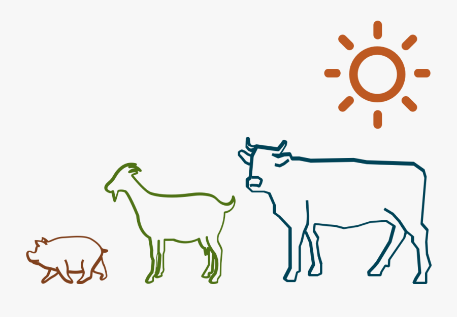 Dairy Cow, Transparent Clipart