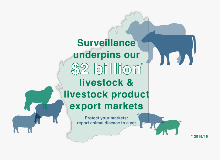 Value Of Livestock Surveillance To Wa, Transparent Clipart