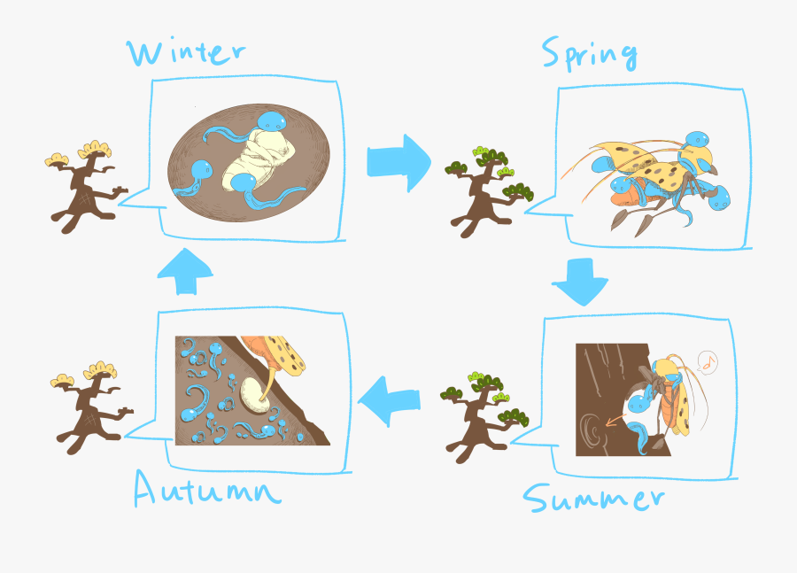 コルブ 経験 学習 モデル, Transparent Clipart