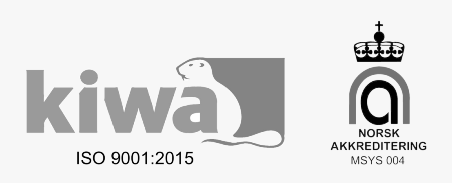 African Grey, Transparent Clipart