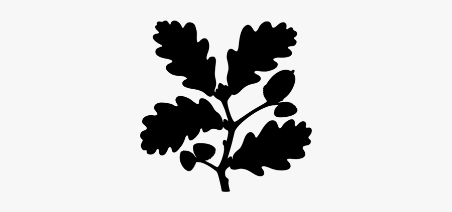 National Trust Logo, Transparent Clipart