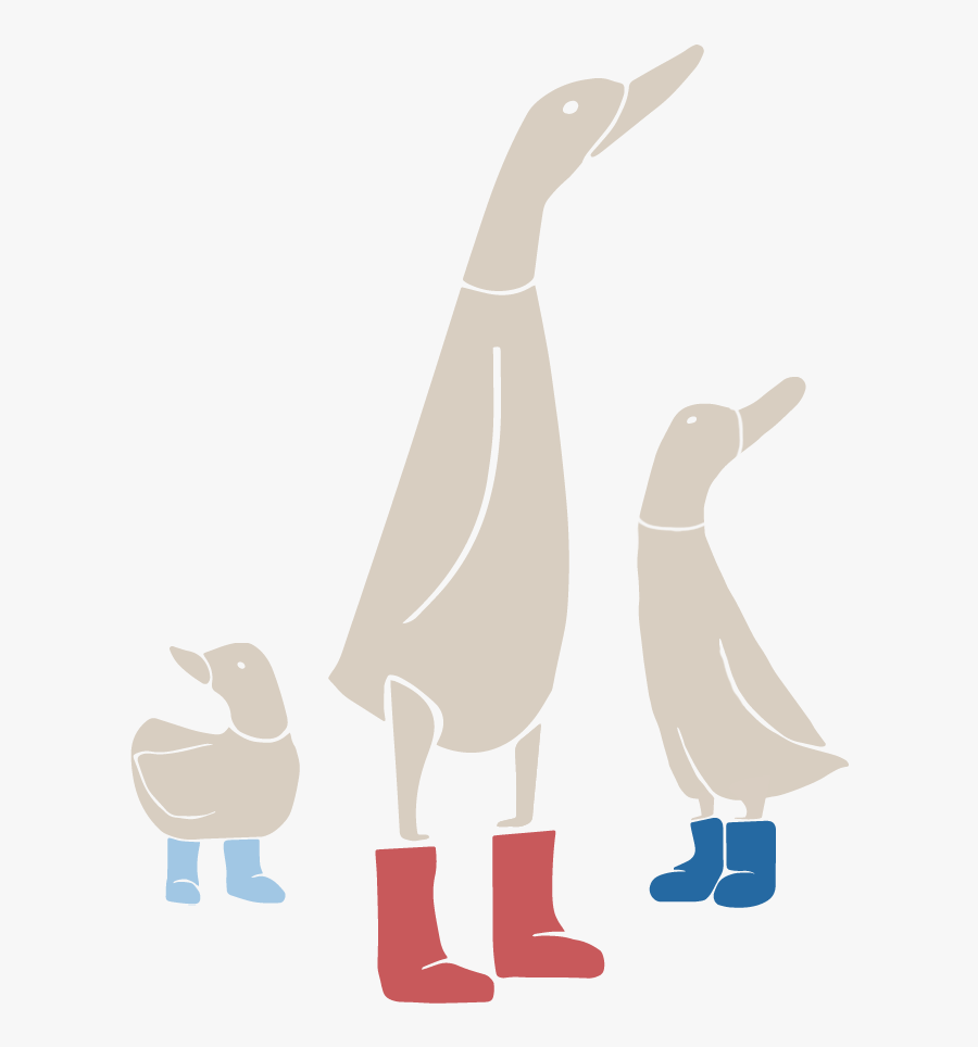 Duck, Transparent Clipart