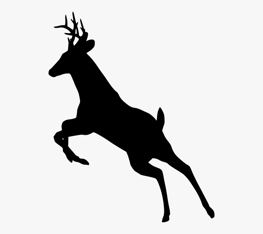 Deer, Jumping, Silhouette, Animal, Leaping, Wildlife - Eat More Fast Food, Transparent Clipart