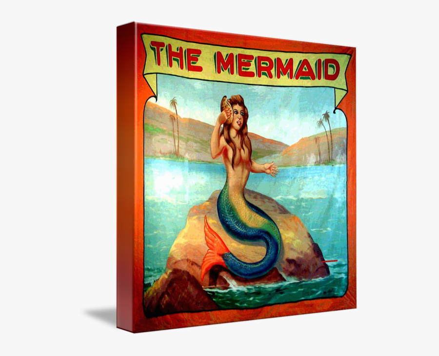 Mermaid Painting Art Sideshow Carnival - Vintage Mermaid Shower Curtains, Transparent Clipart