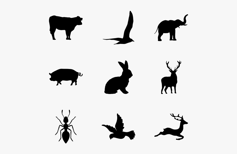 Art,black And White - Wildlife Icon, Transparent Clipart