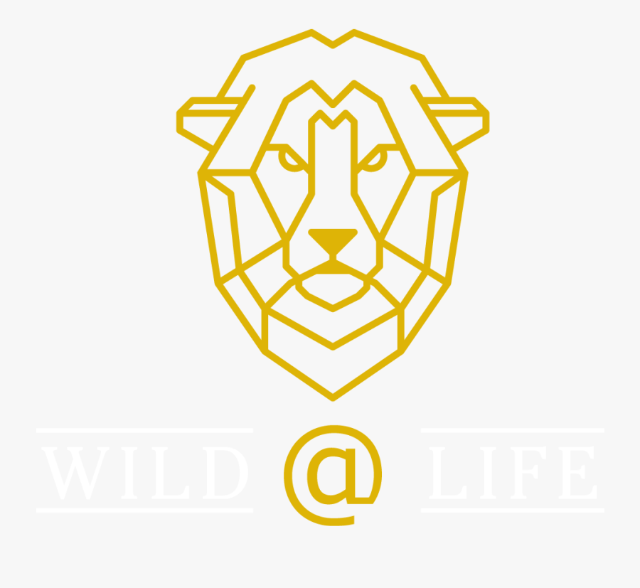 Lion Face Line, Transparent Clipart