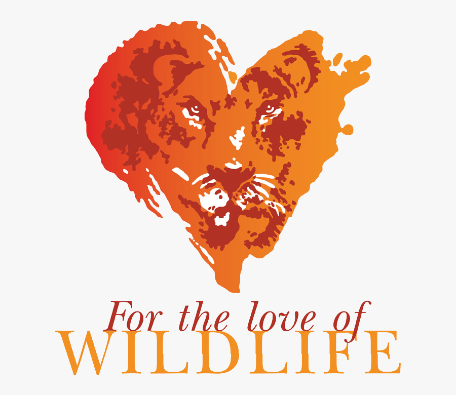 For The Love Of Wildlife - Love Of Wildlife, Transparent Clipart
